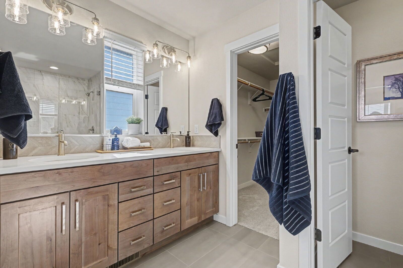 Brand-New Classic Homes Portrait Collection in Greenways at Sand Creek property image