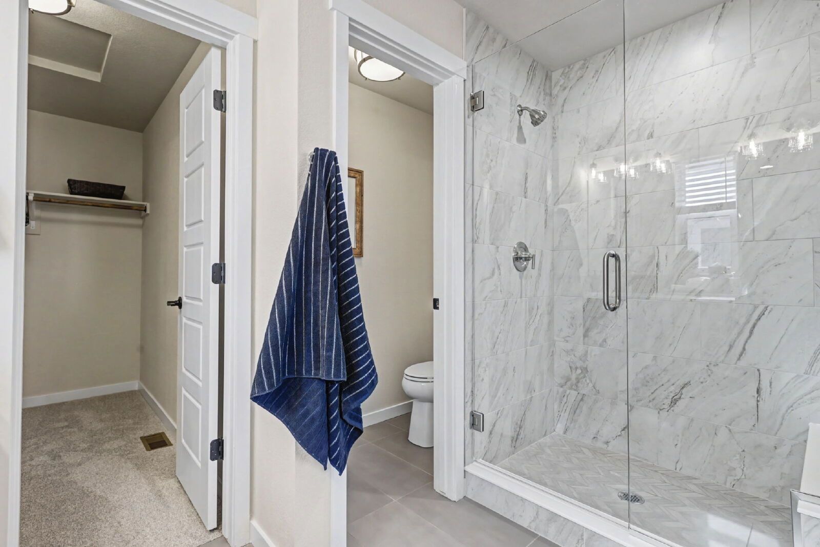 Brand-New Classic Homes Portrait Collection in Greenways at Sand Creek property image