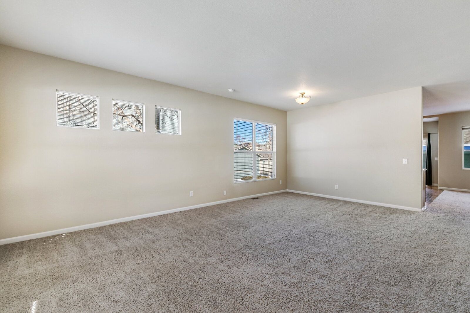 Spacious 3-Bedroom Townhome with Detached 2-Car Garage Near Fort Carson property image
