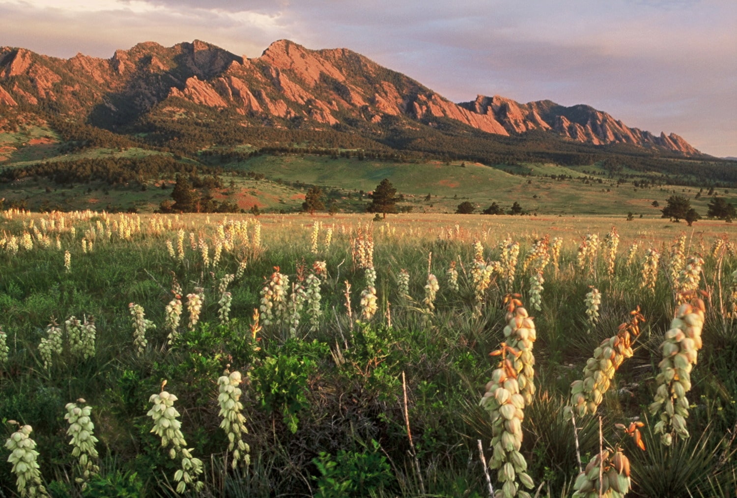 Stetson Hill Property Management